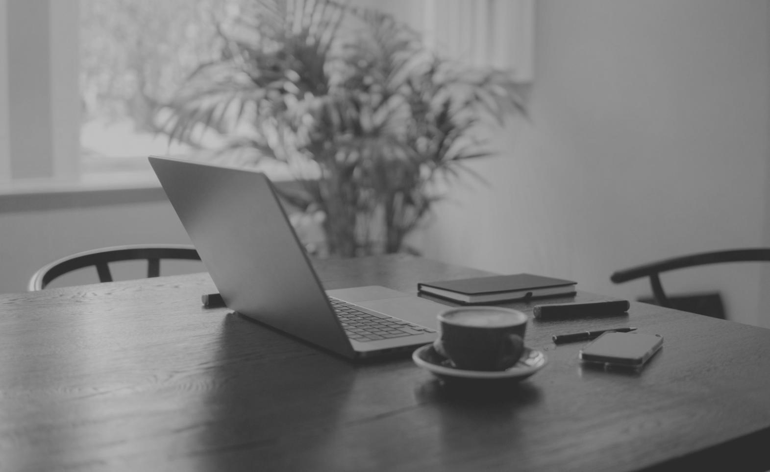 Online-Seminar zu organischem Suchwachstum bei Univalonix